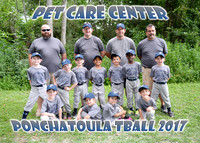 pet care center team