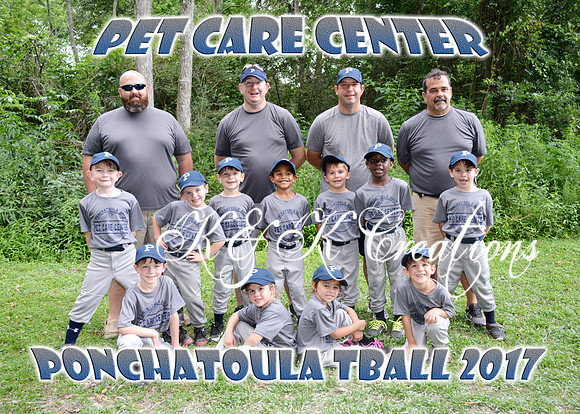 pet care center team