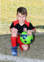 DINO CARBO_6822