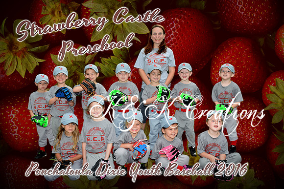 scp_team_tball