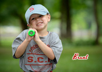 brant_dickens_2