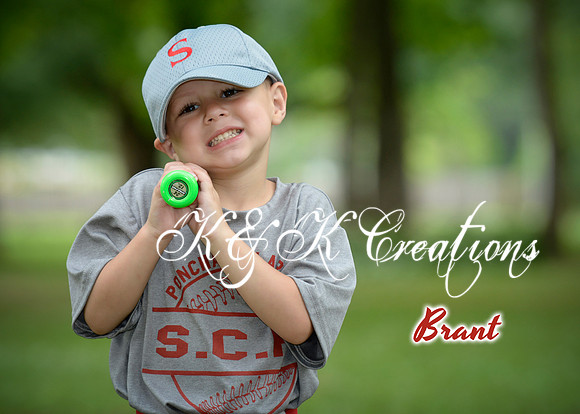 brant_dickens_2