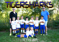 8u Shawn Parker TIGERSHARKS