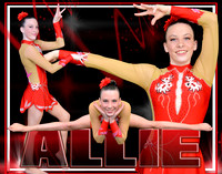 ALLIE ALEXANDER COLLAGE