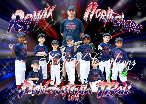 5X7 REMAX NORTHSHORE TEAM TBALL