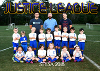5X7 JUSTICE LEAGE TEAM STYSA