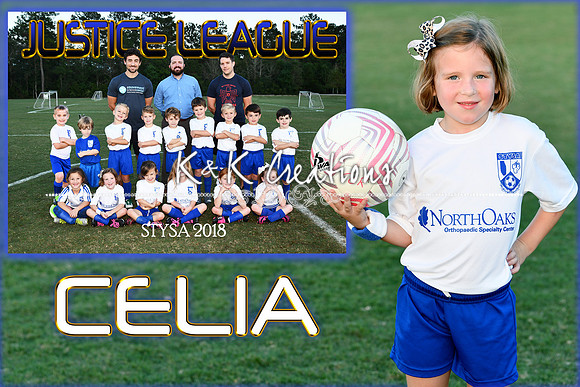 CELIA RICK MEMORY MATE