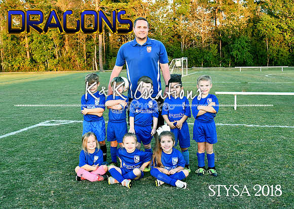 5X7 STYSA DRAGONS DAVID CHAMPAGNE TEAM