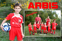 ARBIS HANNA MEMORY MATE