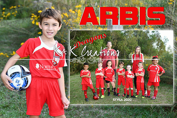 ARBIS HANNA MEMORY MATE