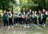 5x7 11-12Girls Bardwell Farms Team