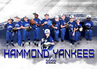 Hammond Yankees 7u 2022