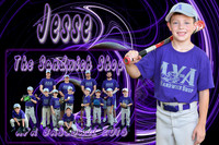 Jesse Crain Memory Mate