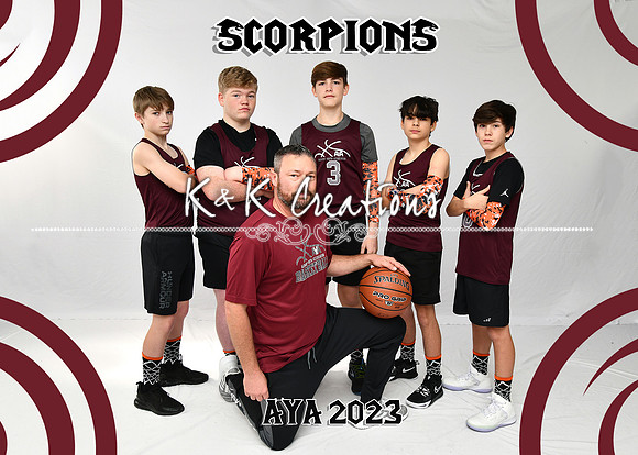 5X7 SCORPIONS B13-14 VERNON