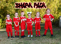 5-6u SHARK PACK