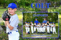 COLT TAYLOR MEMORYMATE