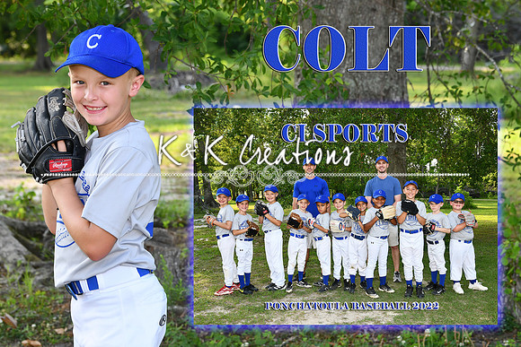 COLT TAYLOR MEMORYMATE
