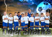 5x7 5u stock tigersharks STYSA 2017