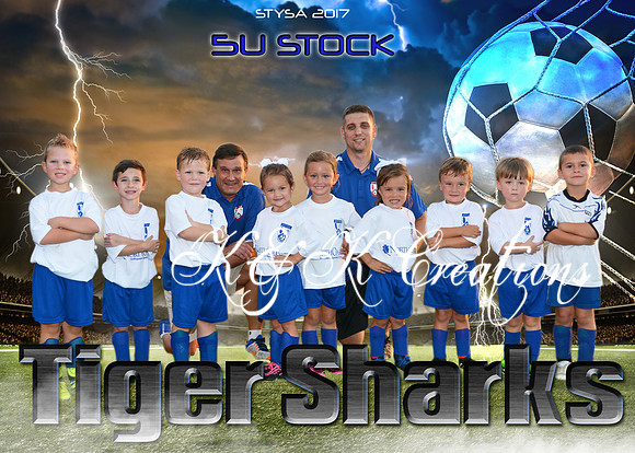 5x7 5u stock tigersharks STYSA 2017