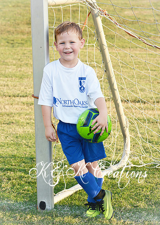 BRODY STOCK_0016