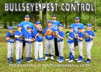Boys 9-10 Bullseye Pest Control
