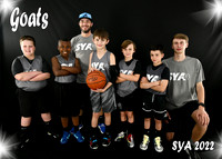 Team #8 Goats