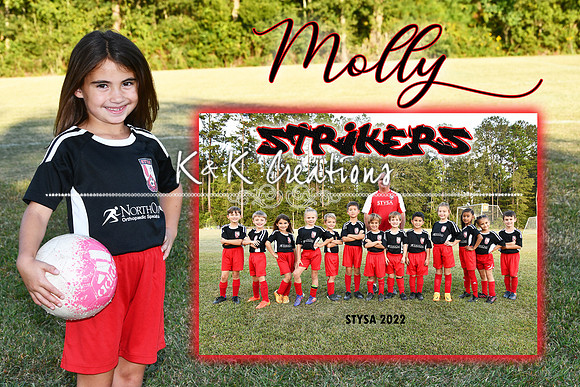 molly lesaicherre mem mate