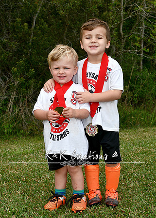 briggs bralton_7670