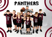 5x7 PANTHERS B4-6 WHITNEY TEAM