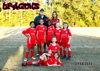 5X7 DRAGONS AUSTIN HAYDEL TEAM