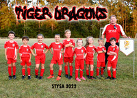 7-8U ROBERT KLING-TIGER DRAGONS