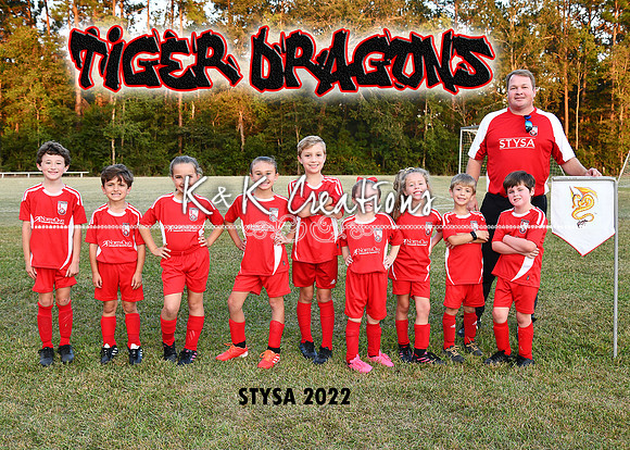 5x7 tiger dragons kling team