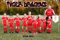 8x12 tiger dragons kling team