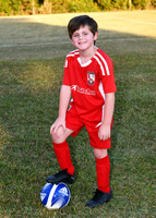will foster_3584
