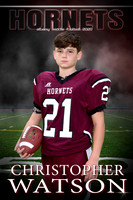CHRISTOPHER WATSON BANNER