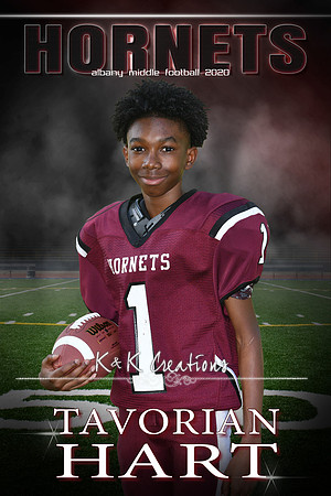 TAVORIAN HART BANNER