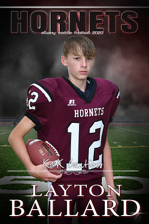 layton ballard banner