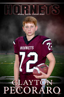 CLAYTON PECORARO BANNER
