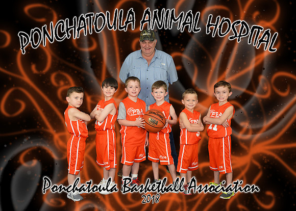 5X7 PONCHATOULA ANIMAL HOSPITAL 5-6B TEAM