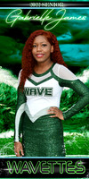gabrielle james banner senior