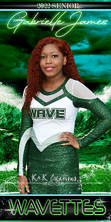 gabrielle james banner senior