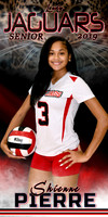 SHIENNE PIERRE BANNER