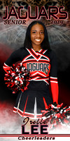IRELLE LEE CHEER BANNER