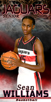 SEAN WILLIAMS BANNER