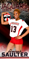 anaiyah saulter volleyball banner