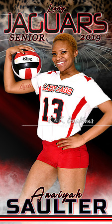 anaiyah saulter volleyball banner