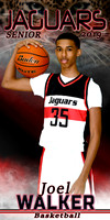 JOEL WALKER BANNER