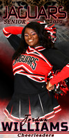 JORDAN WILLIAMS CHEER BANNER