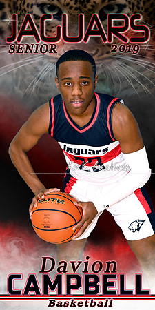 DAVION CAMPBELL BANNER