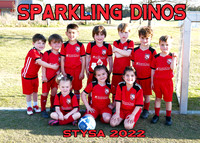 SPARKLING DINOS - Coach Michael Demouy